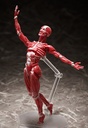 figma Human Anatomical Model