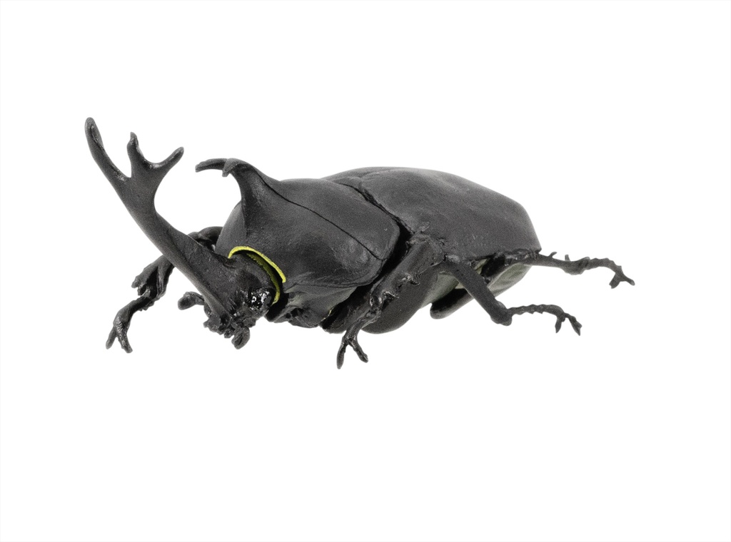 Beetle & Stag beetle Hunter