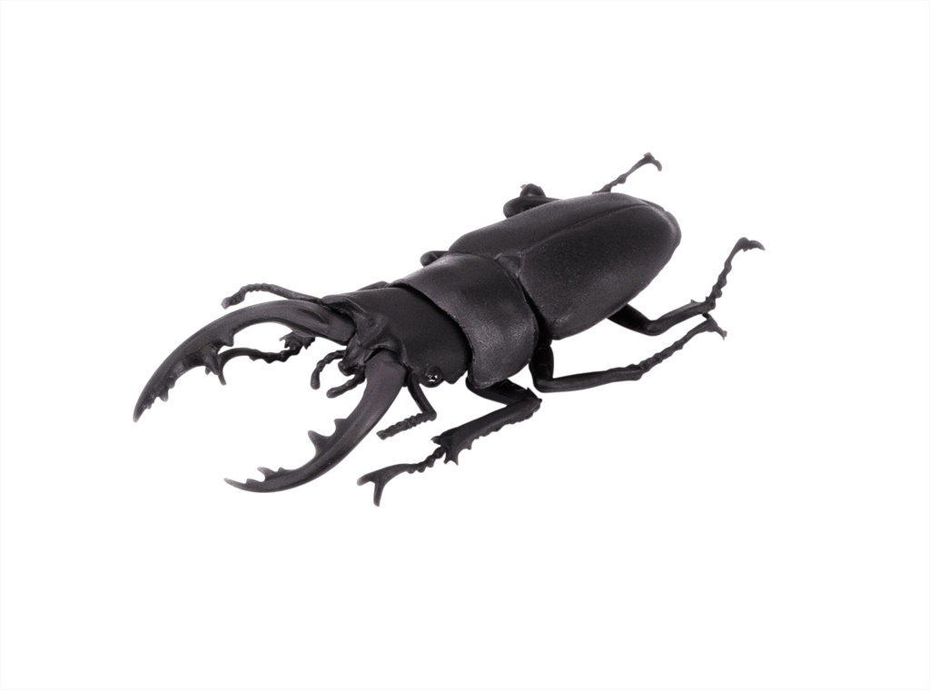 Beetle & Stag beetle Hunter