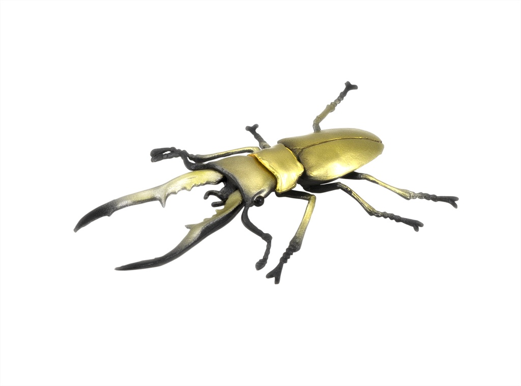 Beetle & Stag beetle Hunter