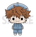 Chokorin Mascot Cells at Work!