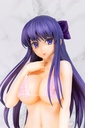 Walkure Romanze - Akane Ryuzoji Bikini Ver.