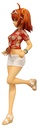 Fate/Grand Order Special Figure: Master/Hero (Woman) Tropical Summer