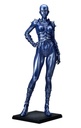 COBRA - Armaroid Lady