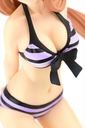 Asuna Swimwear ver. PremiumⅡ