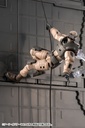 HG028R_HEXA GEAR_EARLY GOVERNOR Vol.1