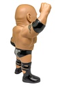 16d Collection 021: WWE The Rock(re-run)