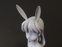 Animal Accessary2 (White)