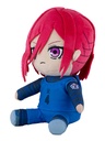 BLUELOCK Plushie Chigiri Hyoma