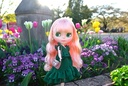 Blythe Urban Fairy Ellie(re-order)