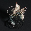 CAPCOM FIGURE BUILDER CUBE Amatsu/MONSTER HUNTER