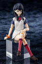 Rikka Takarada (Gridman Universe) Articulated Plastic Model (re-run)