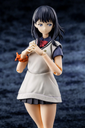Rikka Takarada (Gridman Universe) Articulated Plastic Model (re-run)