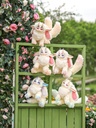 OU DI TUTULONG 400% SERIES TRADING PLUSH