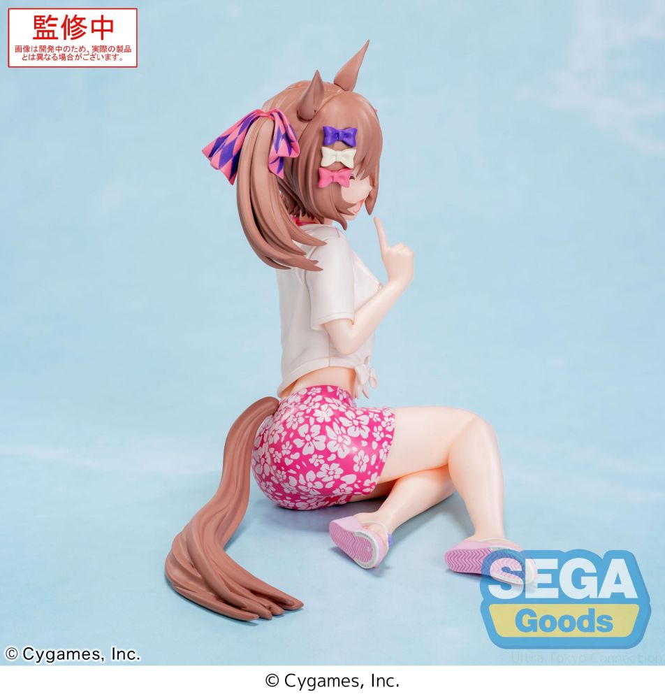 Yumemirize "Umamusume: Pretty Derby" "Smart Falcon" -Gaze on Me!-