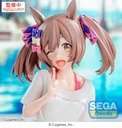 Yumemirize "Umamusume: Pretty Derby" "Smart Falcon" -Gaze on Me!-