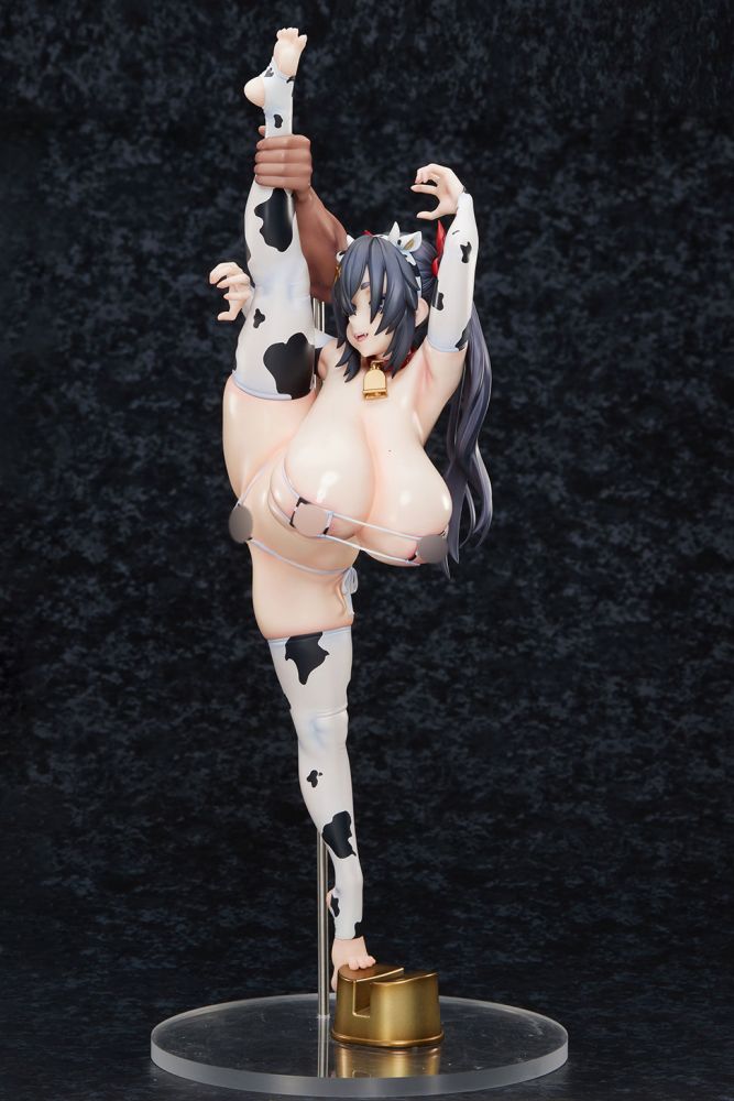Amane Sopra Illustrated by Asanagi DX version