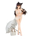 Azur Lane Atago Summer March Ver.