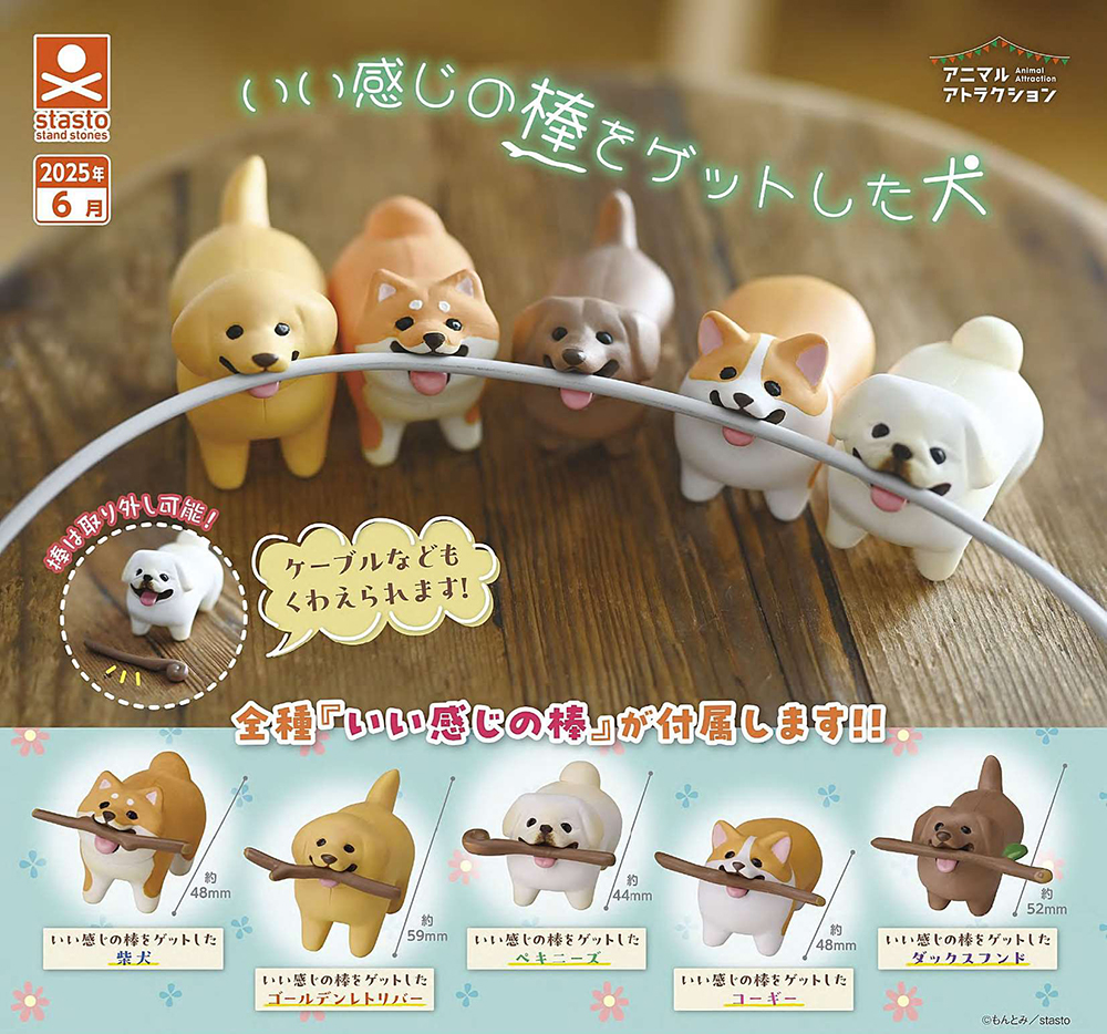 Dogs who got nice sticks