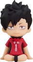 Nendoroid Plus: Tetsuro Kuroo Rubber Mascot