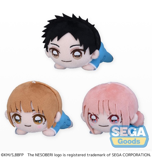 [SG44345] NESOBERI (Lay-Down) "Blue Box" Plush (EX)