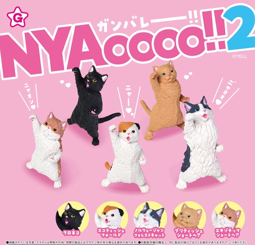 [YLE08776] NYAoooo!! 2