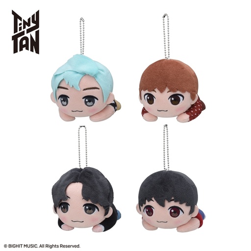 [SG96524] RT B102729 TINYTAN NESOBERI MP DOLL DY R&J&S&J-H