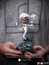 Storm - X-Men MiniCo