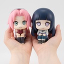 Lookup NARUTO Haruno Sakura & Hyuga Hinata [with gift]