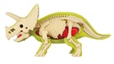Triceratops PUZZLE