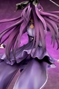 Fate/Grand Order - Caster/Scathach Skadi (Second Ascension)