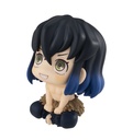 Lookup Demon Slayer HASHIBIRA INOSUKE(repeat)