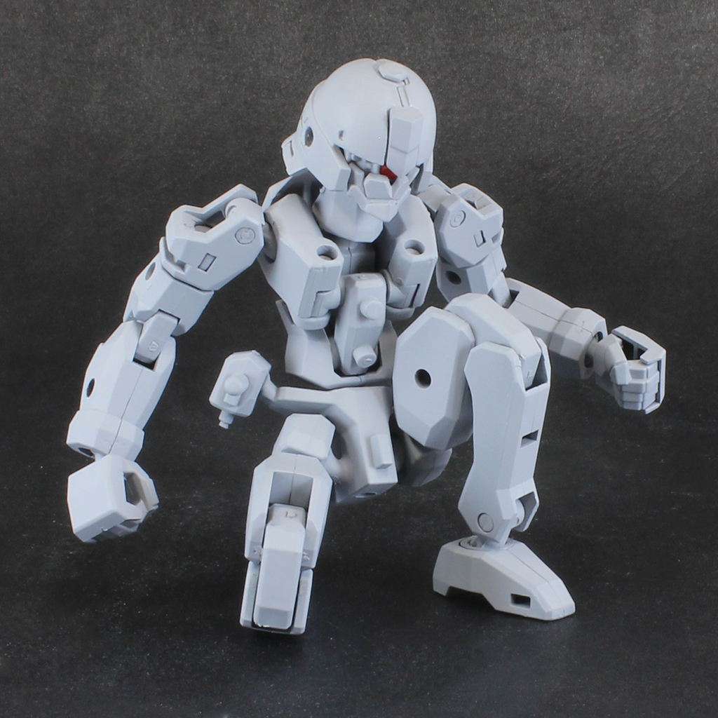Pla-Act Option Series 06: Frame Unit
