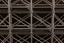 scaffold