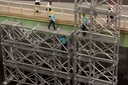 scaffold