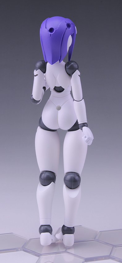 Polynian FMM Clover Ver. Update