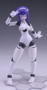 Polynian FMM Clover Ver. Update