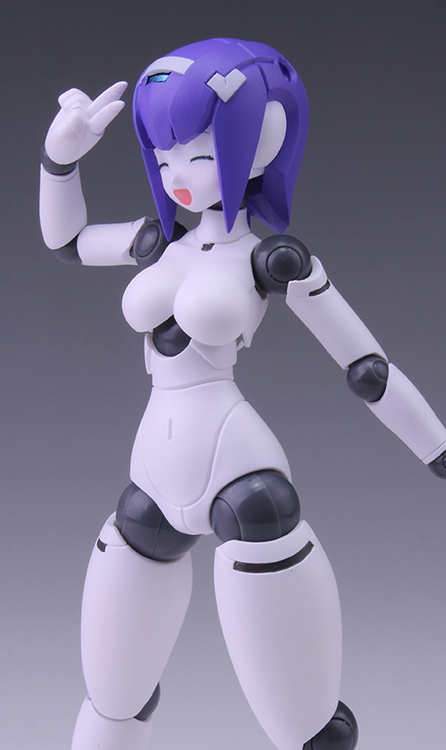 Polynian FMM Clover Ver. Update