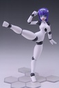 Polynian FMM Clover Ver. Update