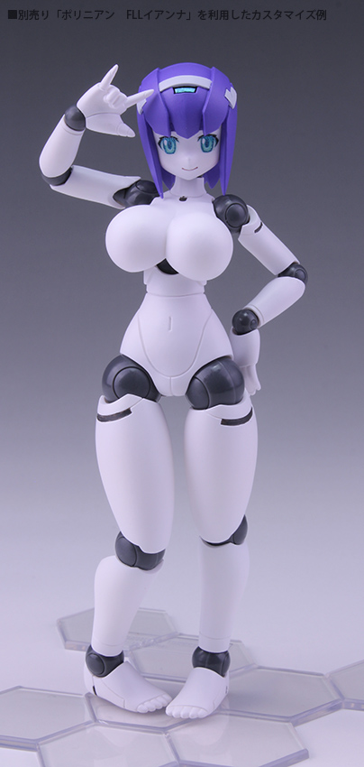 Polynian FMM Clover Ver. Update