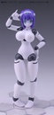 Polynian FMM Clover Ver. Update
