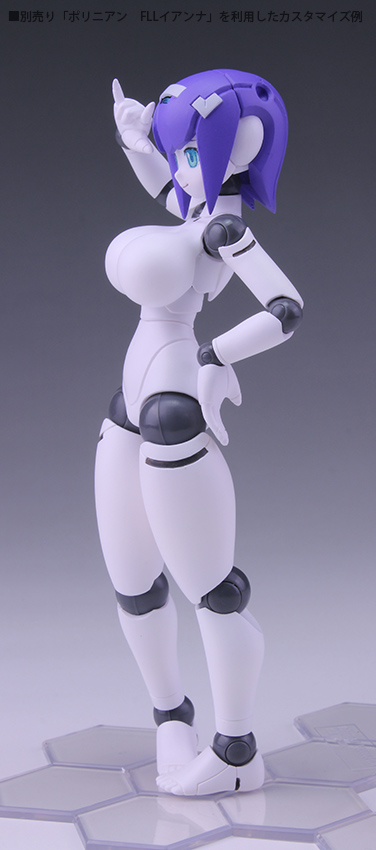 Polynian FMM Clover Ver. Update