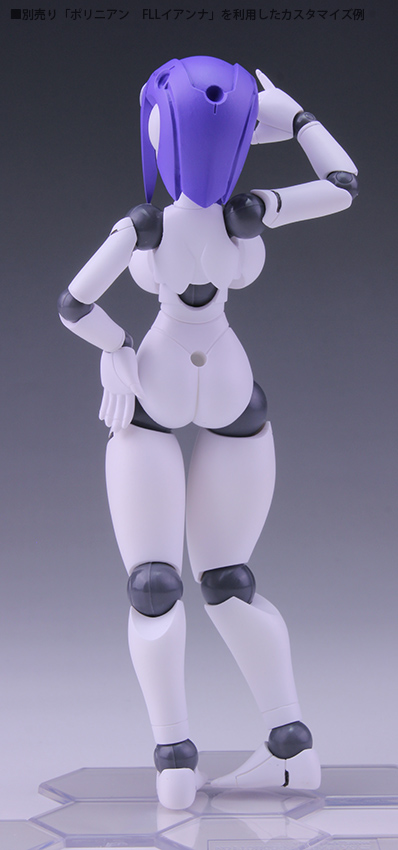 Polynian FMM Clover Ver. Update