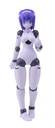 Polynian FMM Clover Ver. Update