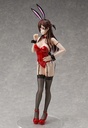 Chizuru Mizuhara: Bunny Ver.