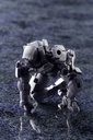 GOVERNOR PARA - PAWN SENTINEL Ver.1.5