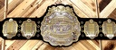 NEW JAPAN PRO-WRESTLING 4th Generation IWGP Heavyweight Championship Replica Belt 50th Anniversary Model (Standard Edition)