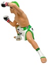 16d Figure Collection: Tenshin Nasukawa