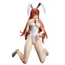 B-style  CODE GEASS Lelouch of the Rebellion Shirley Fenette Ver. bare legged bunny style