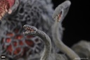 Godzilla vs Biollante : Biollante Hyper Modeling EX